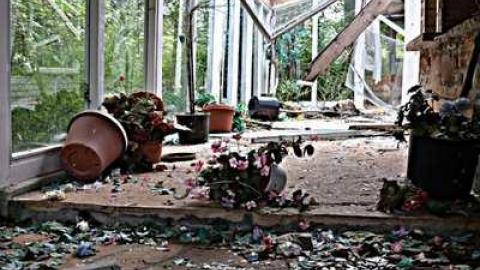 Cat Lady House - 2014 - Abandoned-Cat-Lady-House34.jpg