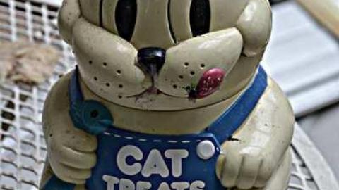 Cat Lady House - 2014 - Abandoned-Cat-Lady-House51.jpg