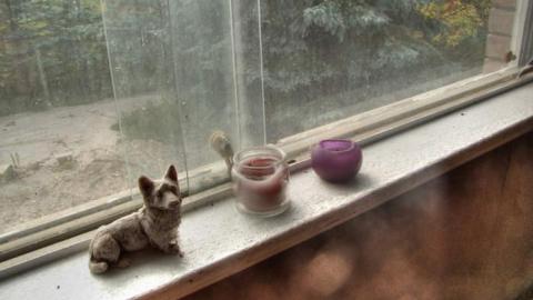 Bolton Bedlam - Caledon, Ontario