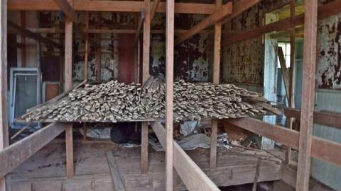 Old East Dawn S.S. photo 2