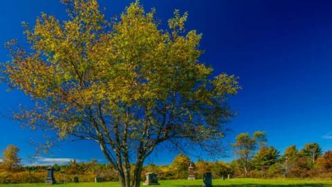 September 2014 - Church-of-the-Herald-Angel1.jpg