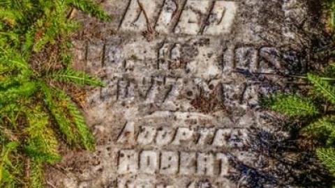 September 2014 - Church-of-the-Herald-Angel7.jpg