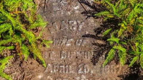 September 2014 - Church-of-the-Herald-Angel8.jpg