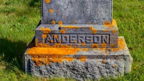 September 2014 - Church-of-the-Herald-Angel9.jpg