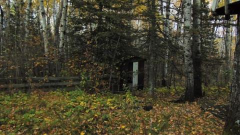 O'Connor Cabin Hideaway photo 4