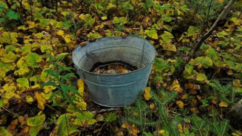 O'Connor Cabin Hideaway - O'connor, Ontario