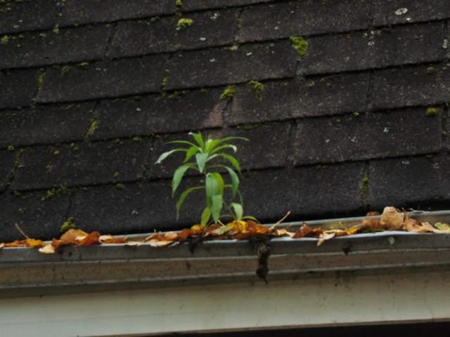 O'Connor Cabin Hideaway photo 2