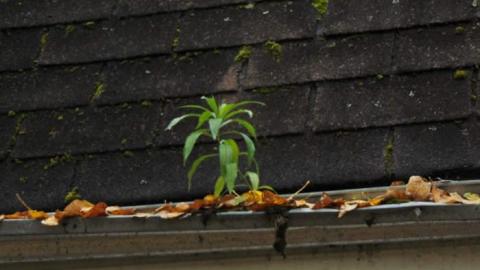 O'Connor Cabin Hideaway photo 2