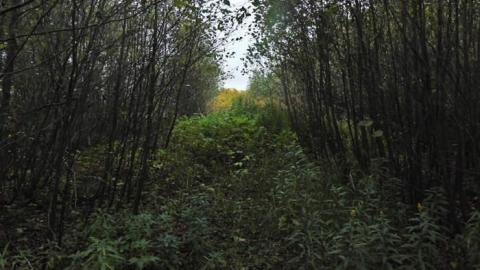 Lybster Pioneer Farm - Lybster-Pioneer-Farm13.jpg