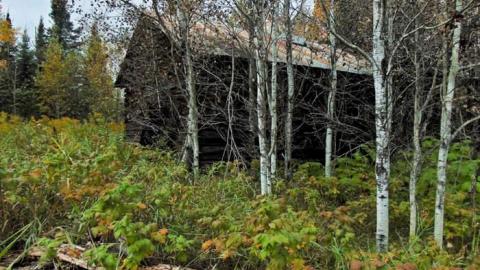 Lybster Pioneer Farm - Lybster-Pioneer-Farm1.jpg