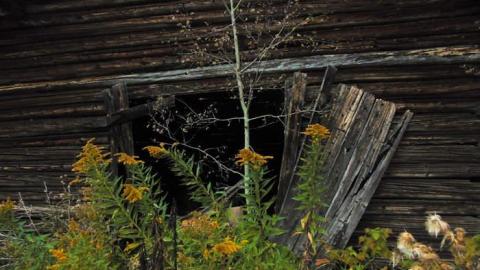 Lybster Pioneer Farm - Lybster-Pioneer-Farm14.jpg