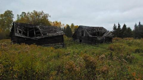 Lybster Pioneer Farm - Lybster-Pioneer-Farm15.jpg