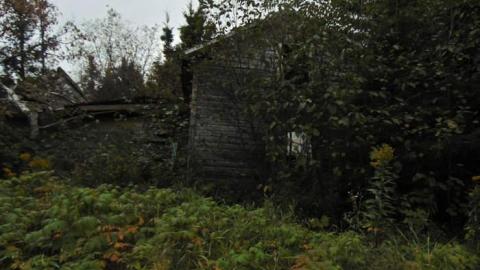 Lybster Pioneer Farm photo 5