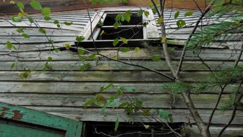 Lybster Pioneer Farm - Lybster-Pioneer-Farm5.jpg