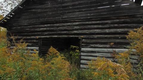 Lybster Pioneer Farm - Lybster-Pioneer-Farm11.jpg