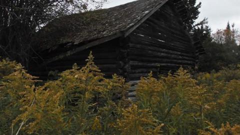 Lybster Pioneer Farm - Lybster-Pioneer-Farm6.jpg