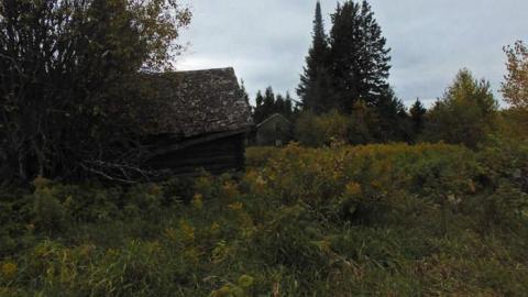 Lybster Pioneer Farm photo 4