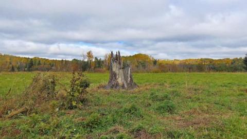 Paipoonge Pioneer Homestead photo 3