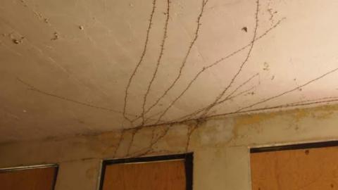 southern hospitality - Kentucky-and-Indiana14.jpg