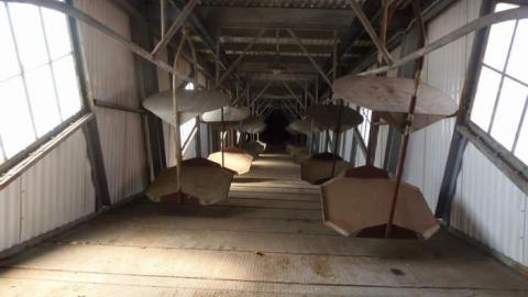 southern hospitality - Kentucky-and-Indiana26.jpg