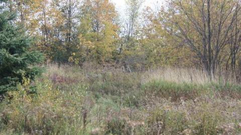 Nov 2011 - St.-Albert-Trailer-Park19.jpg