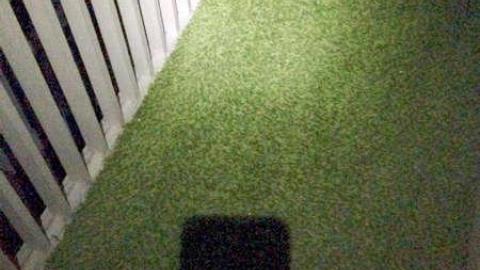 September 2014 - Deja-Vu-Stoner-Plus10.jpg