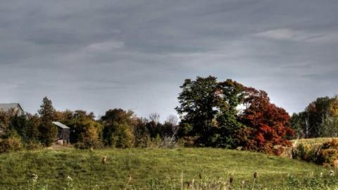 Nobility - Barnes--Noble5.jpg