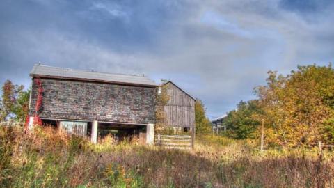 Nobility - Barnes--Noble6.jpg