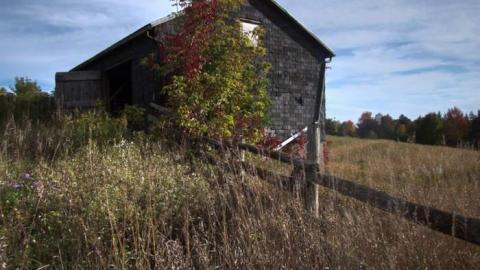 Nobility - Barnes--Noble24.jpg