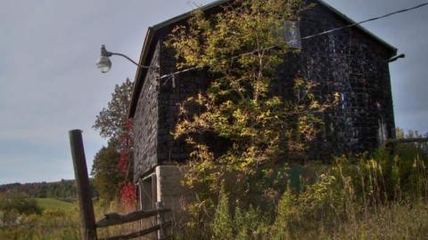 Nobility - Barnes--Noble7.jpg