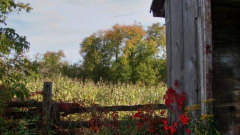 Nobility - Barnes--Noble25.jpg