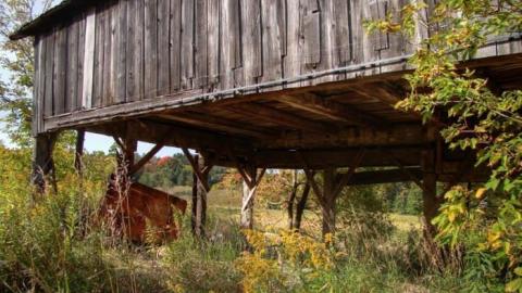 Nobility - Barnes--Noble3.jpg