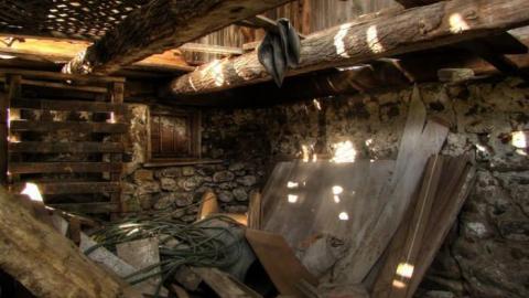 Nobility - Barnes--Noble28.jpg