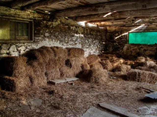 Barnes & Noble - Caledon, Ontario