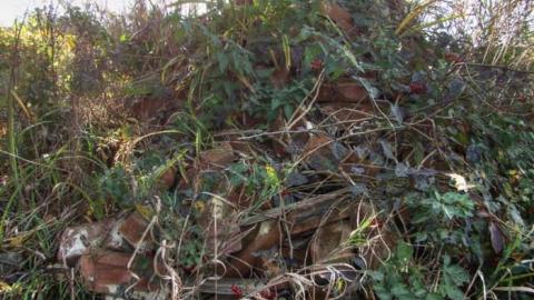 Nobility - Barnes--Noble29.jpg