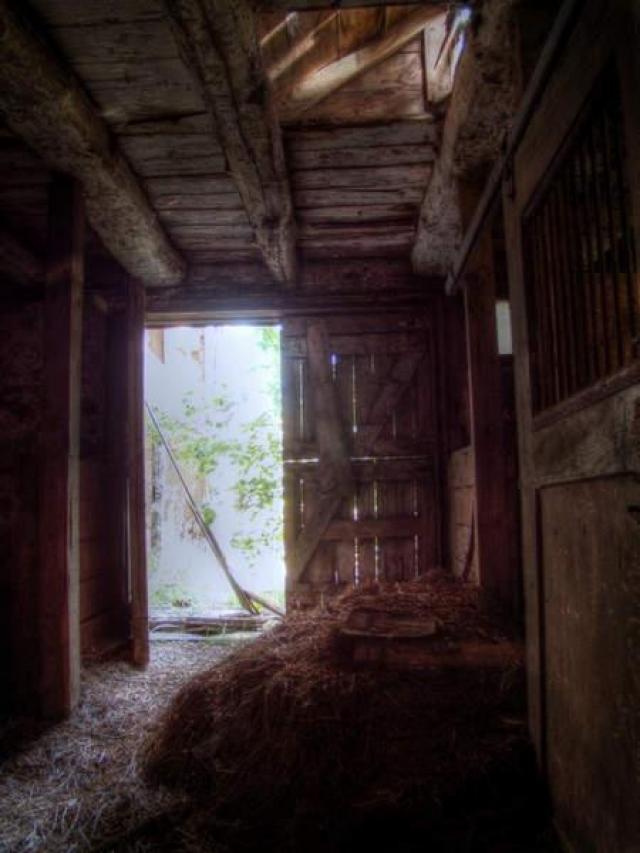 Barnes & Noble photo 5