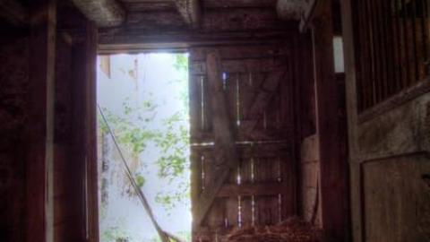 Nobility - Barnes--Noble12.jpg