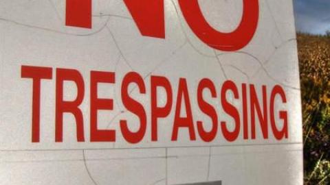 Nobility - Barnes--Noble31.jpg