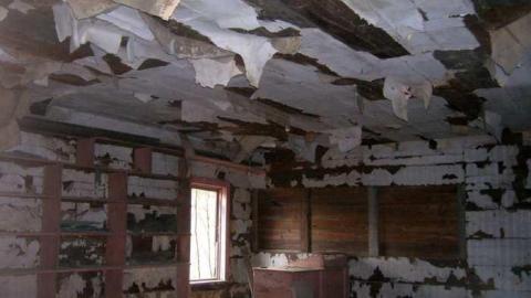 Nov 2013 - Flinton11.jpg