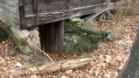 Nov 2013 - Flinton4.jpg