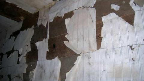 Nov 2013 - Flinton7.jpg