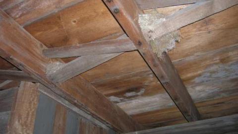 Nov 2013 - Flinton20.jpg