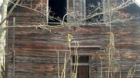 Nov 2013 - Flinton25.jpg