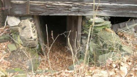 Nov 2013 - Flinton9.jpg