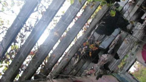 Dragway September 30, 2014 - Windsor-Dragway19.jpg