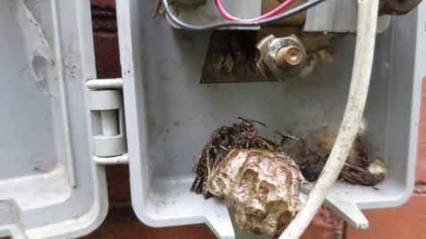 Nature House - Nature-Centre-House47.jpg