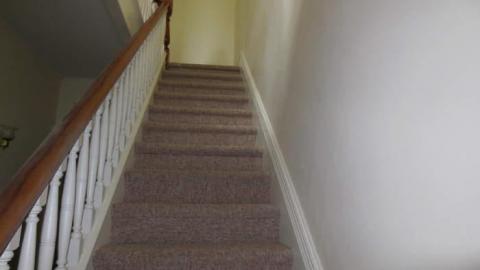 Nature House - Nature-Centre-House3.jpg