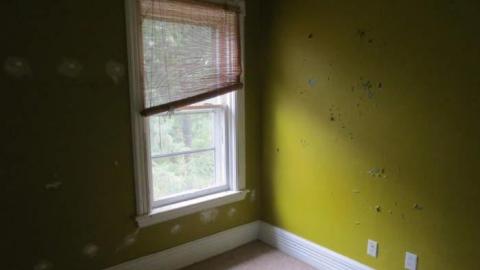 Nature House - Nature-Centre-House53.jpg