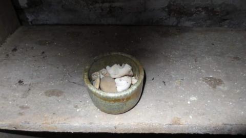 Nature House - Nature-Centre-House9.jpg