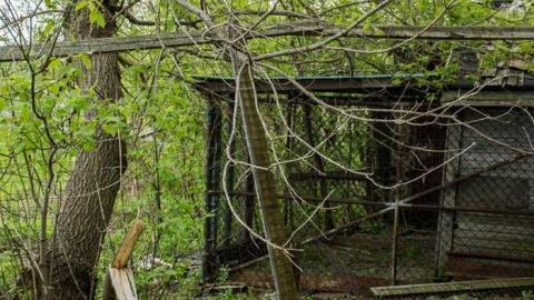 May 2014 - DSC_0026.jpg